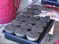 How to Start your vegetable seeds indoors Part 1 of 2