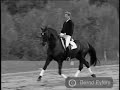 Dressage