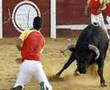 En memoria a Luife  In its report