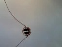 ukash greg nd d power ball ukash greg nd d power ball