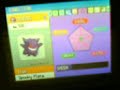my pokemon pearl team!