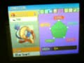 my pokemon pearl team!