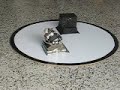 robotica sumousco místico vs el verdugorondafinal round5