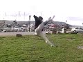 dan's third stunt reel. was made 2004