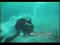 GEODUCK DIVER