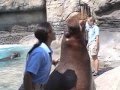 IMATA Entrace Video
