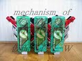 メカニズム オブ ガイアメモリ 仮面ライダーＷ