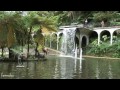 Jardines en Funchal, Tropical y Botáncio de MADEIRA en HD