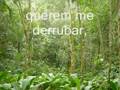 videos de G.R.B.C  Unidos do Alto da Boa Vista