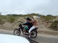 Animala pegando carona com o piloto Gat�o