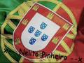 Nelito Pinheiro - Allo Allo O Linda