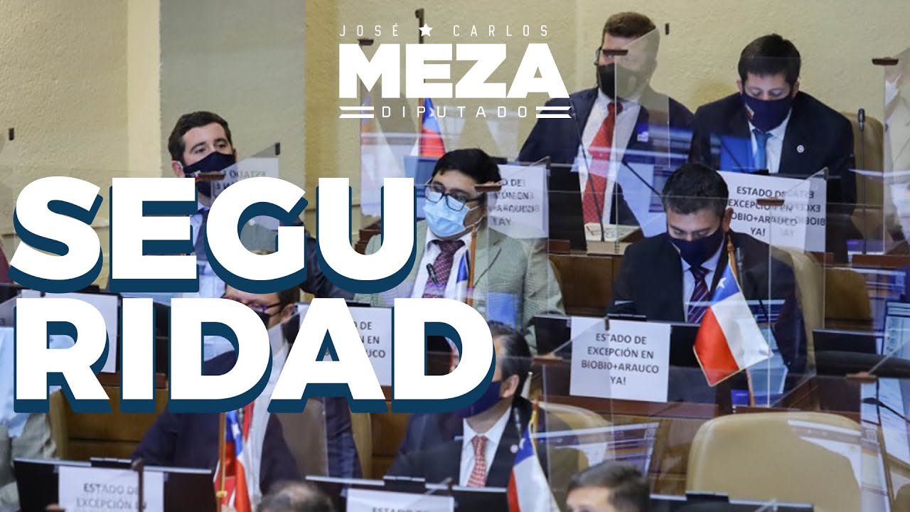 Moción de seguridad