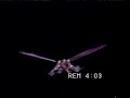 Power Rangers la Pel�cula en v�deo (anuncio de 1995)