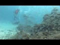 Diving at Kandooma - Part 2 Diving at Kandooma - Part 2