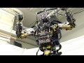 The Sarcos Robot