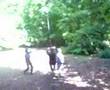 mr raburn zipwire
