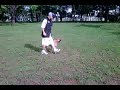 VID 00020-20091125-0731.3GP