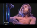IGGY POP'S PRELIMINAIRES WHISPERS IN YOUR EAR