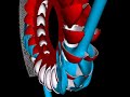 pelton animation