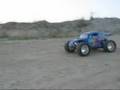 fg red bull beetle