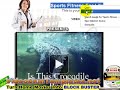 Editing Videoskin Templates Editable Text Area