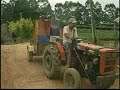 CULTIVO ORGÂNICO DE HORTALIÇAS EM ESTUFA CULTIVO ORGÂNICO DE HORTALIÇAS EM ESTUFA