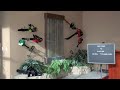 Panther USA Virtual Tour