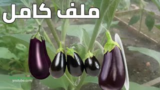  | موسوعة التراث الفلسطيني