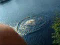 Spiderdive from 5m