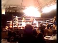 Qik - BOXEO MIAMI by briansinmapa13