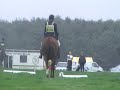 Hakkuna Matata III - Allerton Park dressage