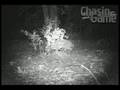 HCO Scout Guard SG550 Video-Predator Call and Decoy