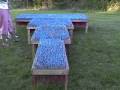 20,000 Bottle Rockets