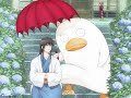 MR.RAINDROP