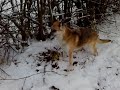 Danka Danka