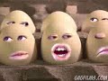 Funny Eggs ever !