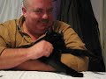 Kitty love