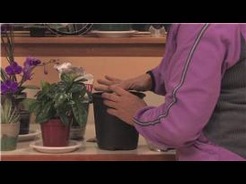 how to grow under lights