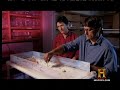 This is part 1 of a 5 part episode. To watch the full show go to my channel (Zuke696) then go to my Playlist, find the show then click Play All - For billions of years countless species have been sending information back and forth. Vast networks of messages designed to defend against predators, acquire mates and find food. From microscopic bacteria to the largest animals on earth the ability to relay information often determined a species survival. This is the story of how communication evolved....