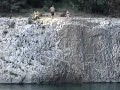 Pont du Gard-Neil and Aurora