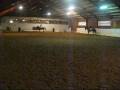 Relaxed-Dressage