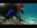 klimatske spremembe- koralni greben klimatske spremembe- koralni greben