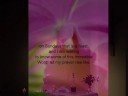 Hospitality of Communion (2001), a poem by Peter Menkin