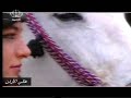 رائد السرحان / العنود