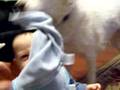 Sammus Playing Peek a Boo