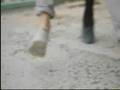 Those Dancing Days - Hitten
