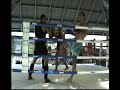 muay thai pountzoukidis muay thai pountzoukidis