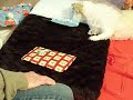 PRESSIES FROM GIZMO THE GREAT