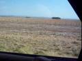 videos de el indio en san luis45455