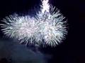 Firework at Gronings ontzet (Bommen Berend)